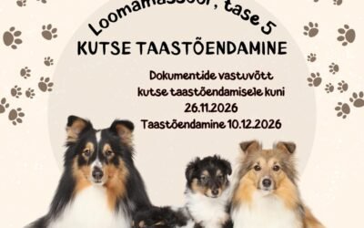 LOOMAMASSÖÖR, TASE 5 KUTSETE TAASTÕENDAMINE